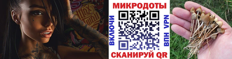 Галлюциногенные грибы GOLDEN TEACHER  Морозовск 